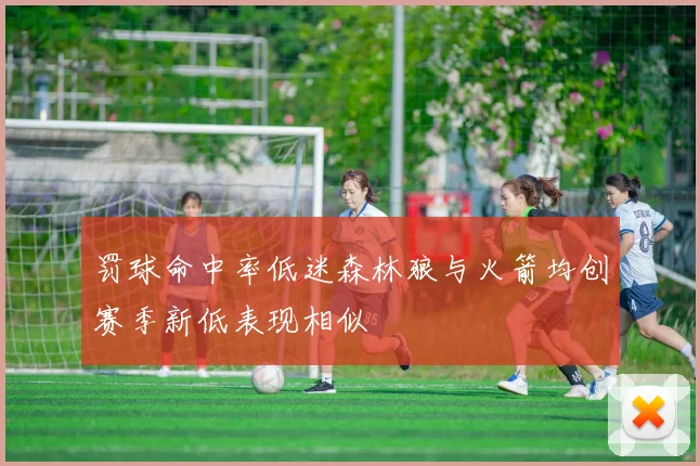 罚球命中率低迷森林狼与火箭均创赛季新低表现相似