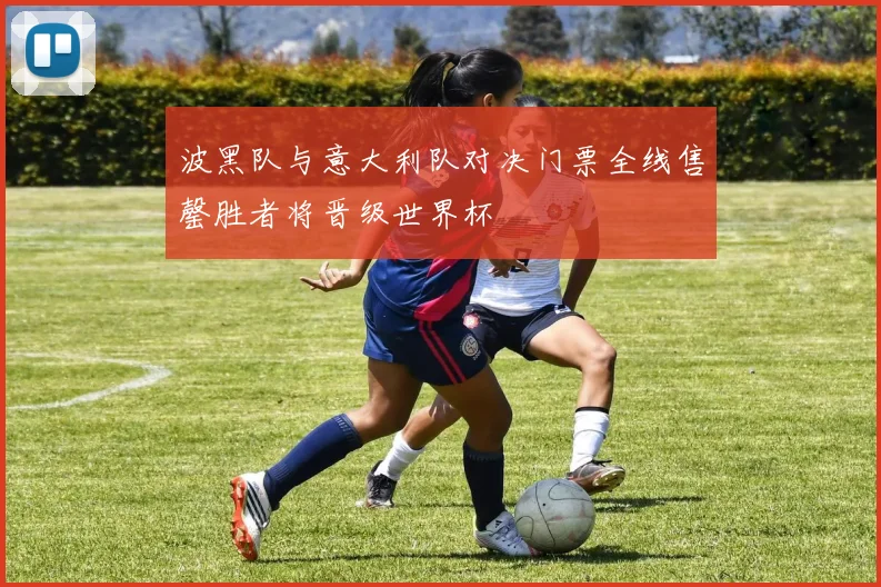 波黑队与意大利队对决门票全线售罄胜者将晋级世界杯