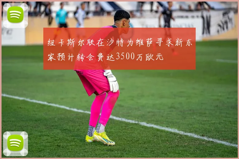 纽卡斯尔联在沙特为维萨寻求新东家预计转会费达3500万欧元