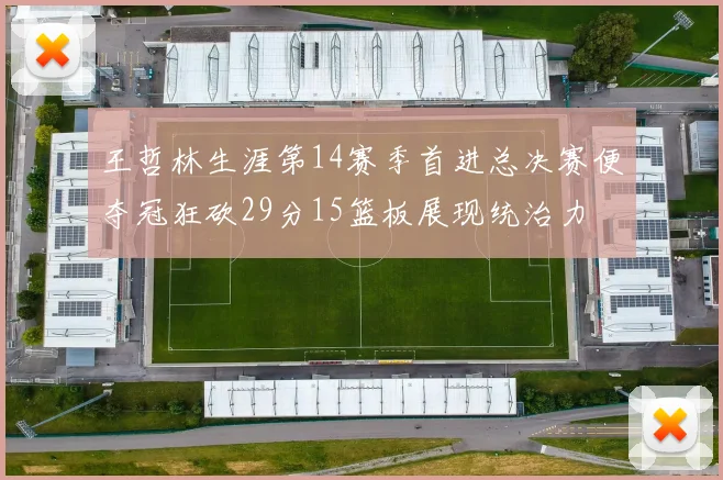 王哲林生涯第14赛季首进总决赛便夺冠狂砍29分15篮板展现统治力