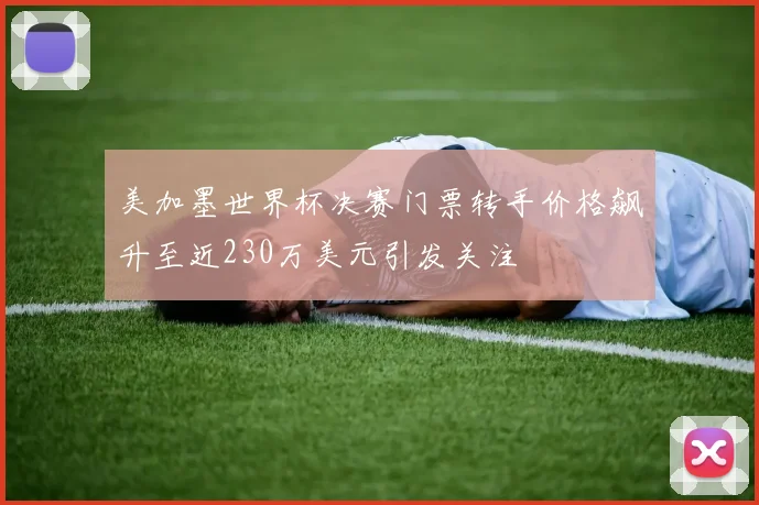 美加墨世界杯决赛门票转手价格飙升至近230万美元引发关注