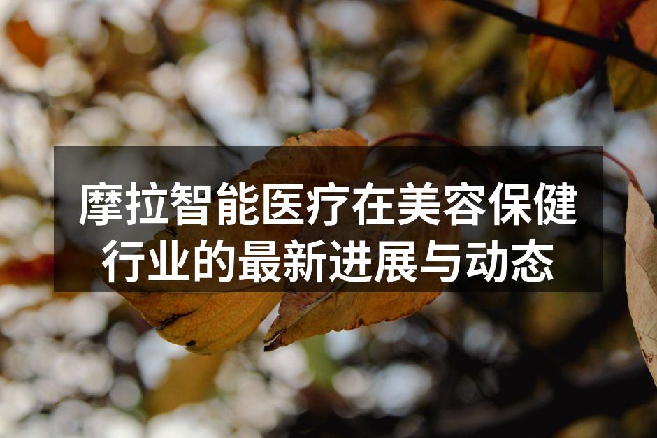 摩拉智能医疗在美容保健行业的最新进展与动